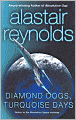 Diamond Dogs, Turquoise Days
