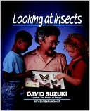 Looking at Insects