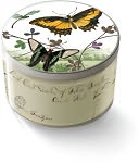 "Prairie" Glass Candle with Lid 2.5x4 by Fringe Studio: Product Image