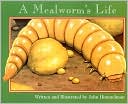 A Mealworm's Life