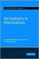 Derivations in Minimalism
