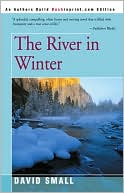The River in Winter