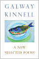 A New Selected Poems