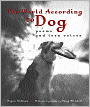 The World According to Dog