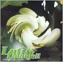 Abstract Latin Lounge, Vol. 2