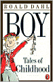 Boy: Tales of Childhood