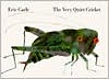 The Very Quiet Cricket