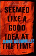 Seemed Like a Good Idea at the Time by David Goodwillie: Book Cover