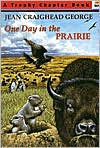 One Day in the Prairie