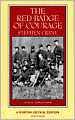 The Red Badge of Courage (A Norton Critical Edition)