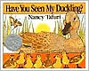 Have You Seen My Duckling?