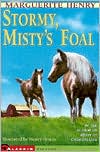 Stormy: Misty's Foal
