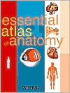 Essential Atlas of Anatomy