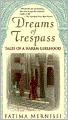 Dreams of Trespass: Tales of a Harem Girlhood