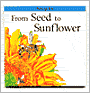 From Seed to Sunflower