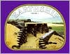 Earthship: How to Build Your Own