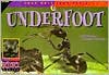 Underfoot