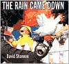 Rain Came Down