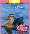 Life in a Pond
