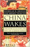 China Wakes: The Struggle for the Soul of a Rising Power