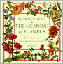 Flower Fairies: The Meaning of Flowers