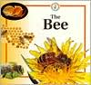 Life Cycle of the Bee