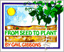 From Seed to Plant