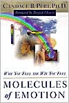 Molecules of Emotion: Why You Feel the Way You Feel