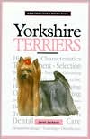 A New Owner's Guide to Yorkshire Terriers: AKC Rank #9