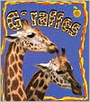 Giraffes