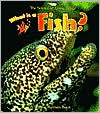 What Is a Fish?