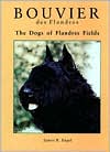 Bouvier des Flandres: The Dogs of Flandres Fields