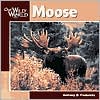 Moose