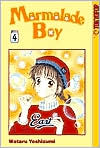 Marmalade Boy Vol 4