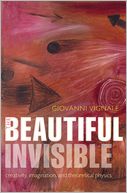 The Beautiful Invisible by Giovanni Vignale: NOOK Book Cover