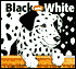 Black and White