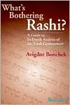 What's Bothering Rashi, Bereishis