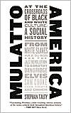 Mulatto America: At the Crossroads of Black and White Culture: A Social History