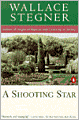 A Shooting Star