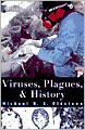 Viruses, Plagues, and History