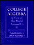 College Algebra: A View of the World Around Us