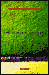 The Curtain of Trees