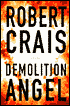 Demolition Angel