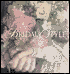 download Nancy Davis book
