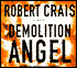 Demolition Angel