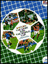 Soccer: The Game and the World Cup