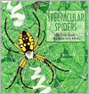 Spectacular Spiders