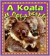 A Koala Is Not a Bear!