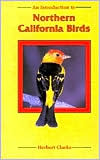 Introduction to Northern California Birds