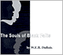 The Souls of Black Folk